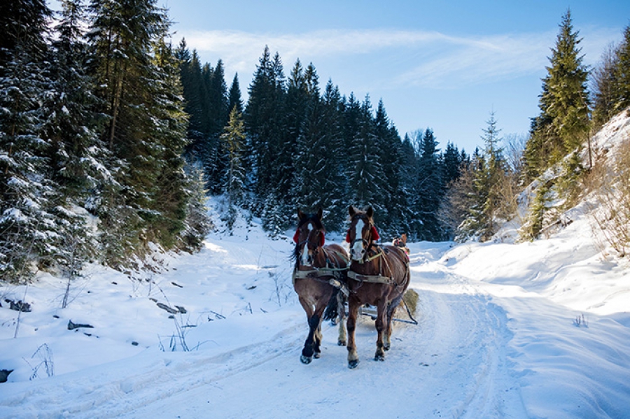 Tradycyjny Kulig Zimowy